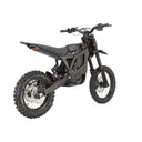 E Ride Pro Mini R