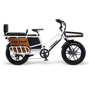 Pedego Cargo