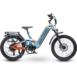 Biktrix RogueHawk FS Step-Thru 2