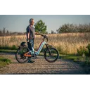 Biktrix RogueHawk FS Step-Thru 2 - Image 5