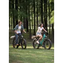 Engwe E26 - Image 2