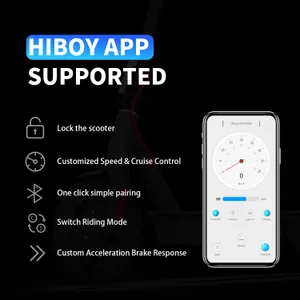 Hiboy S2 Pro (With Seat)