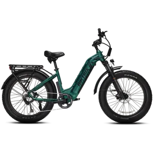 Biktrix Juggernaut Hub Duo Step-Thru 2