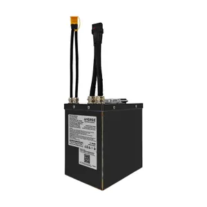 AMORGE 20S4P 20Ah 200A (EVE 50PL)