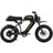 Ariel Rider X-Class 60V (Off-Road)