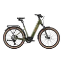 Velotric Discover M
