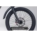 Biktrix RogueHawk FS Step-Thru - Image 6