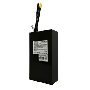 AMORGE 16S5P 21Ah 130A (Molicel P42A) for ONYX CTY2