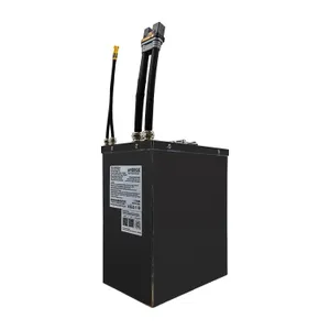 AMORGE 20S12P 50.4Ah 420A (Molicel P42A)