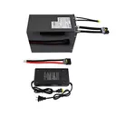 AMORGE 20S12P 50.4Ah 420A (Molicel P42A) - Image 7