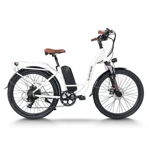 CEMOTO CEMOTO EB40 City Commuter (White)