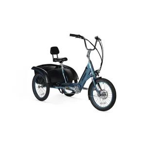 Pedego Trike
