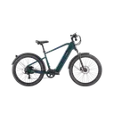 Velotric Discover 1 Plus - Image 9