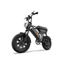 URLIFE T16