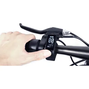 Bafang SW102