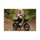 Rad Power Bikes RadRunner Plus - Image 10