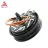 QS Motor QS219 1500W 40H