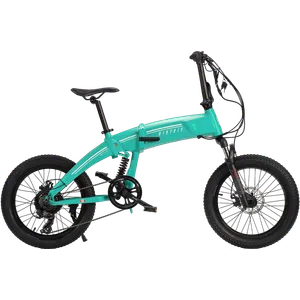 Biktrix Kutty FS (Mint)