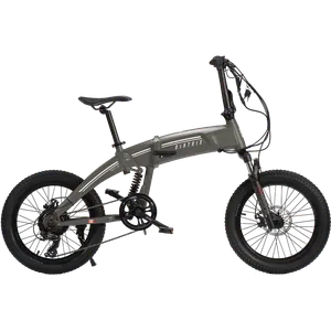 Biktrix Kutty FS (Silver)