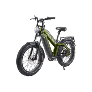 Ariel Rider Kepler Dual Battery (Gray)