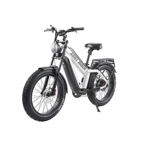 Ariel Rider Kepler Dual Battery (Gray)