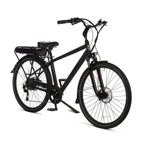 Pedego City Commuter Platinum Edition