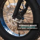 GOTRAX R3 Fat Tire Folding E-Bike (Black) - Image 9