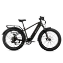 Lectric XPeak2 (Long-Range Step-Through)