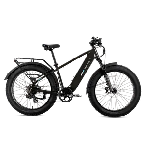 Lectric XPeak2 (Long-Range Step-Through)