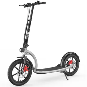 Hiboy VE1 Pro