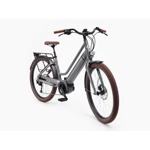 Trek Vale Go! 9D EQ