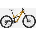 Canyon Spectral:ONfly CF CLLCTV - Image 1