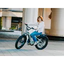 Velowave Ranger Step-Thru 3.0 - Image 8
