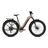 Aventon Aventure 3 Step-Through (Java)