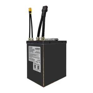 AMORGE 20S5P 25Ah 200A (Reliance RS50) for Tuttio Soleil01