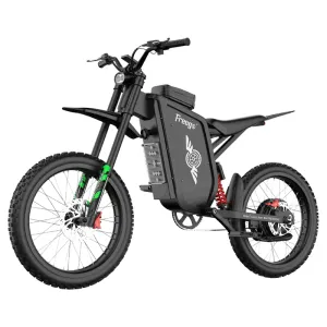 Freego X3 (40Ah)