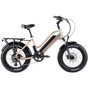 Biktrix Stunner LT 7 S 20" (Champagne)