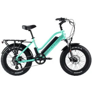 Biktrix Stunner LT 7 S 20" (Metallic Mint)
