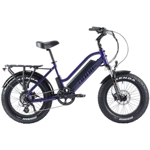 Biktrix Stunner LT 7 S 20" (Metallic Purple)