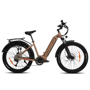 Biktrix Juggernaut Classic Duo Step-Thru L 19" 26x4 Fat (Champagne)