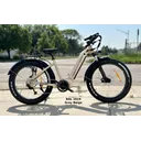 Biktrix Juggernaut Classic Duo Step-Thru M 17" 24x4 Fat (Powder Coated)