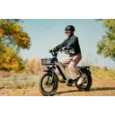 Magicycle Ocelot Pro - Image 2