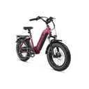 Magicycle Ocelot Pro - Image 7