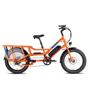 Rad Power Bikes RadWagon 4