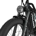 Philodo Jumbo - Image 10