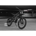Talaria XXX Pro