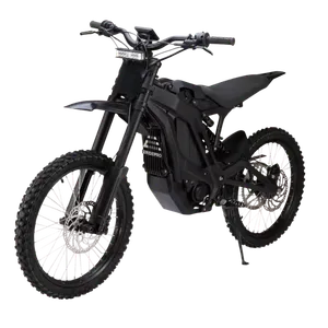E Ride Pro SS 2.0