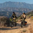 TST Buddy - Image 6