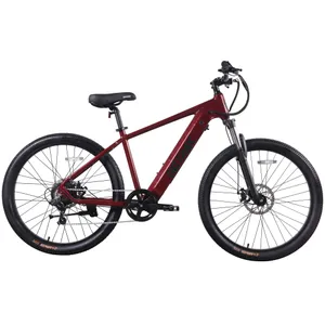 GOTRAX Approach (Maroon Red)