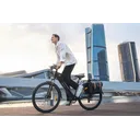 DYU C5 - Image 3